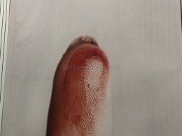 Exposición de Mutantes 2022